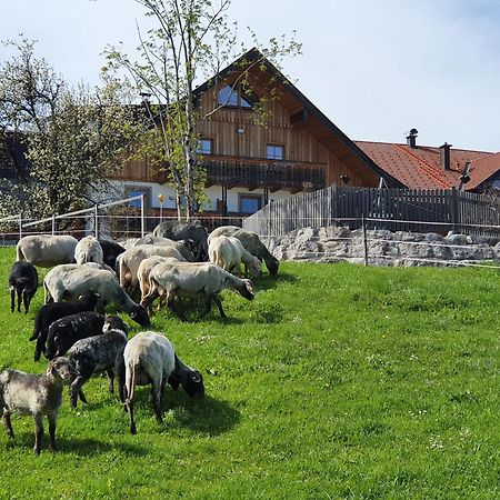 Appartamento Bramsauerhof Faistenau Esterno foto